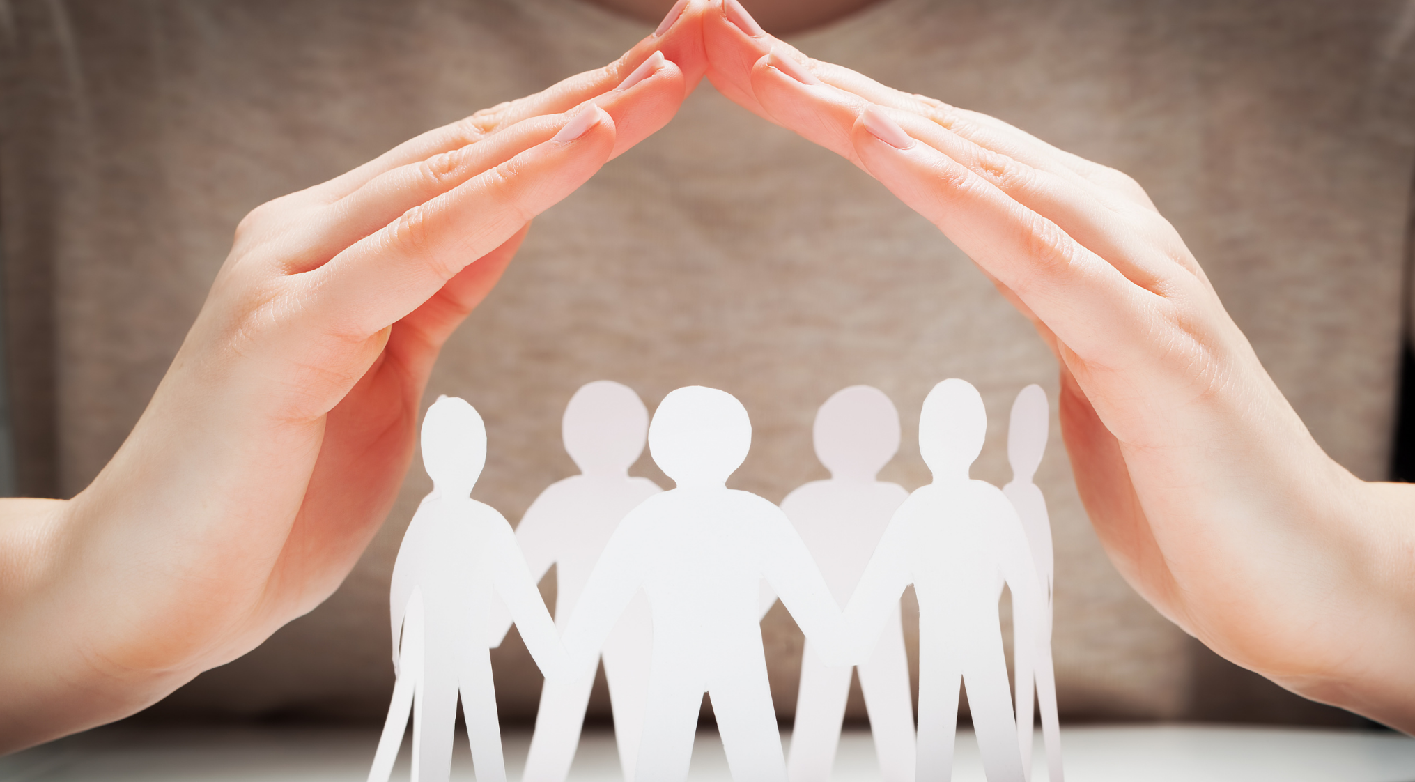 Социальная программа