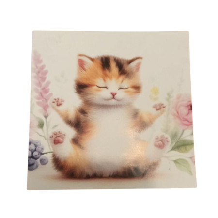 Открытка "Зоошанс"